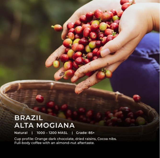 قهوة مختصة البرازيل التا موجيانا