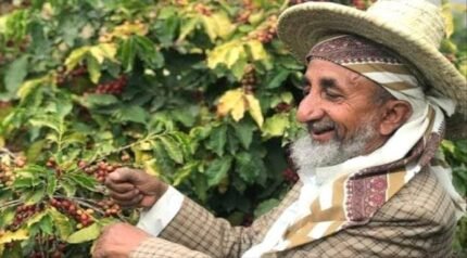 قهوة اليمن حراز المختصة