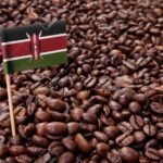 Kenya coffee